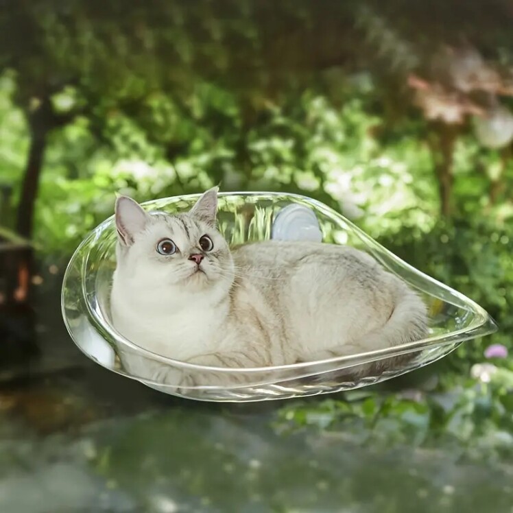 تصویر 1 جای خواب گربه پشت شیشه Window Cat Bed