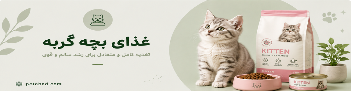 غذای بچه گربه | پت آباد | petabad