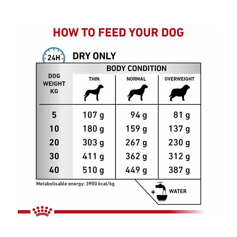  عکس راهنمای تغذیه غذای خشک سگ مراقب از پوست رویال کنین Royal Canin Skin Care وزن 2 کیلوگرم 