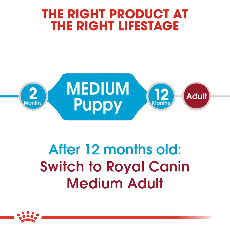  عکس توضیحات غذای خشک توله سگ رویال کنین مدل Medium Puppy وزن 4 کیلوگرم 