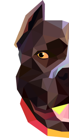 محصولات سگ تابستان داغ