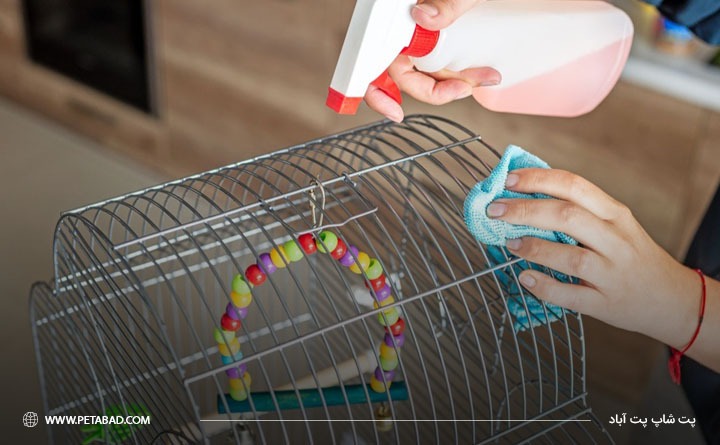 راهکار پیشگیری از جلوگیری از خارش بدن عروس هلندی