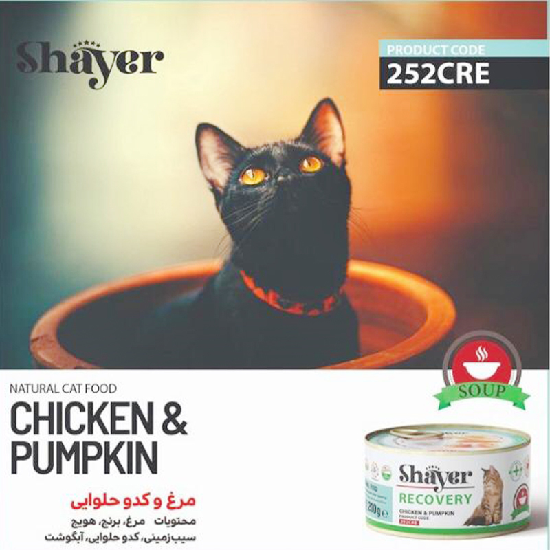  عکس تبلیغاتی کنسرو ریکاوری گربه شایر مدل Chicken & Pumpkin وزن ۲۰۰ گرم 