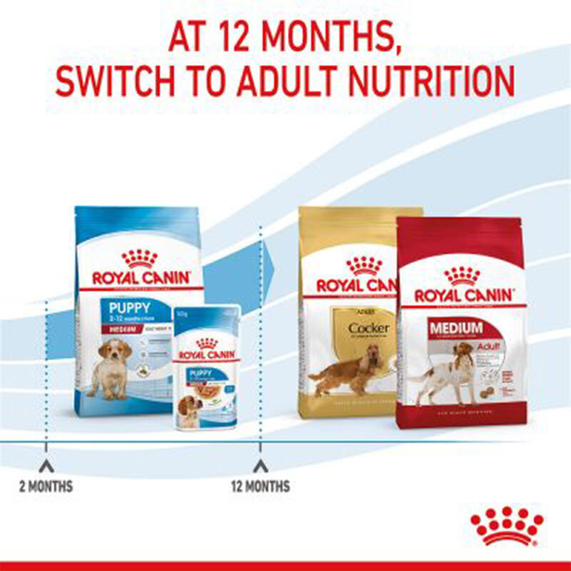  عکس غذای خشک توله سگ نژاد متوسط رویال کنین Royal Canin Medium Puppy وزن 15 کیلوگرم 