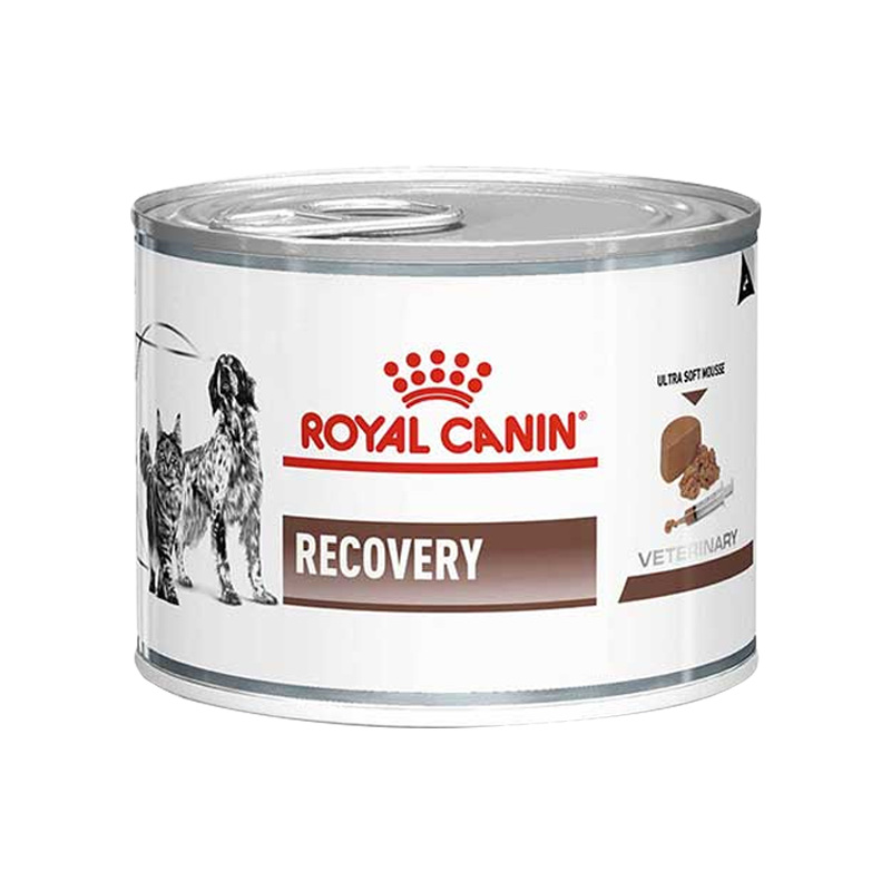  تصویر بسته کنسرو غذای سگ و گربه ریکاوری رویال کنین Royal Canin Pack Recovery مجموعه 3 عددی 