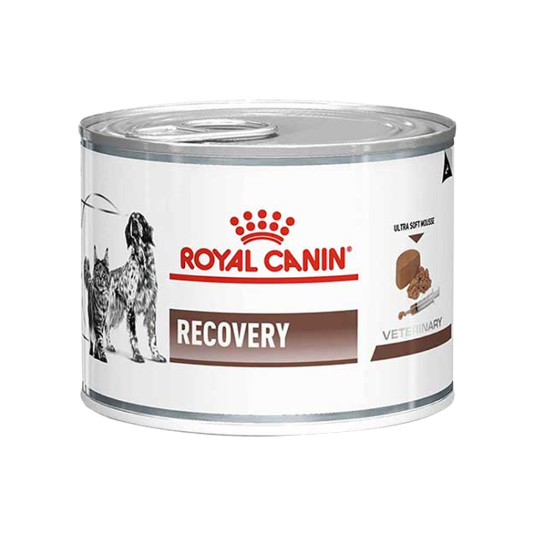 تصویر بسته کنسرو غذای سگ و گربه ریکاوری رویال کنین Royal Canin Pack Recovery مجموعه 3 عددی 