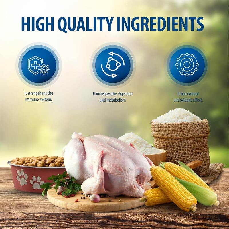  عکس تبلیغاتی درباره ویژگی های غذای خشک گربه رفلکس پلاس مدل Adult Chicken وزن 1 کیلوگرم 