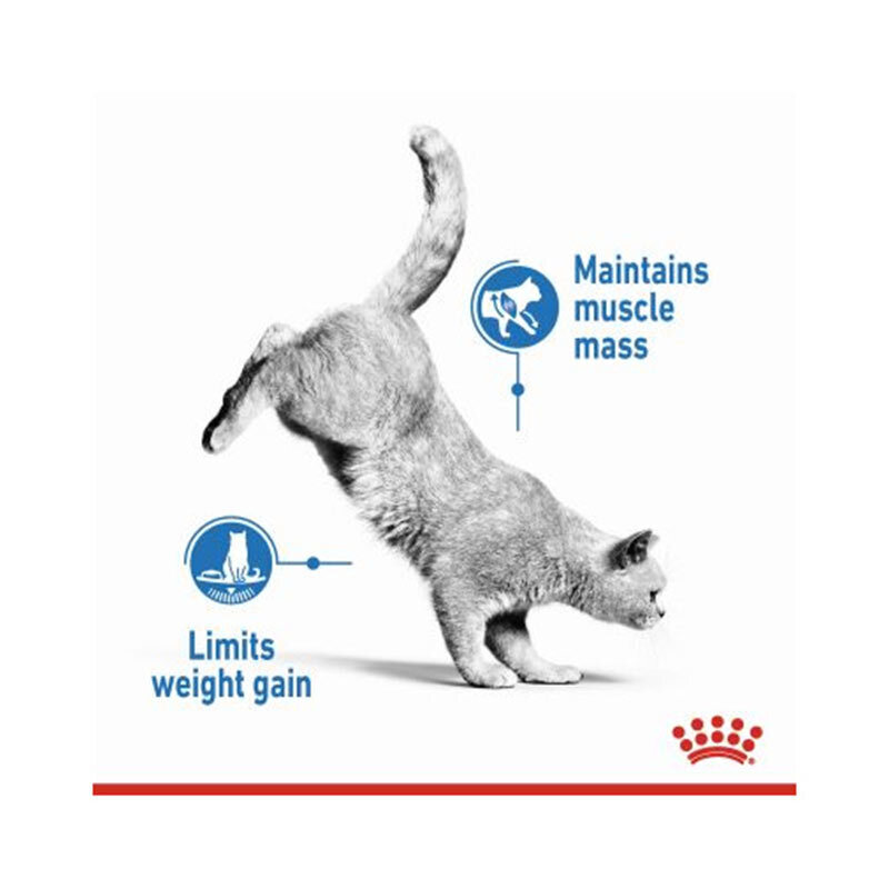  تصویر توضیحات غذای خشک گربه رژیمی رویال کنین Light Weight Care وزن 1.5 کیلوگرم 