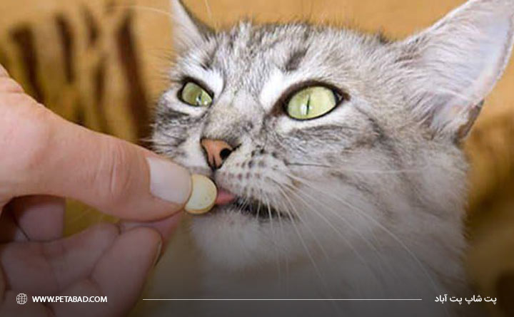 فواید مصرف مکمل و ویتامین برای گربه