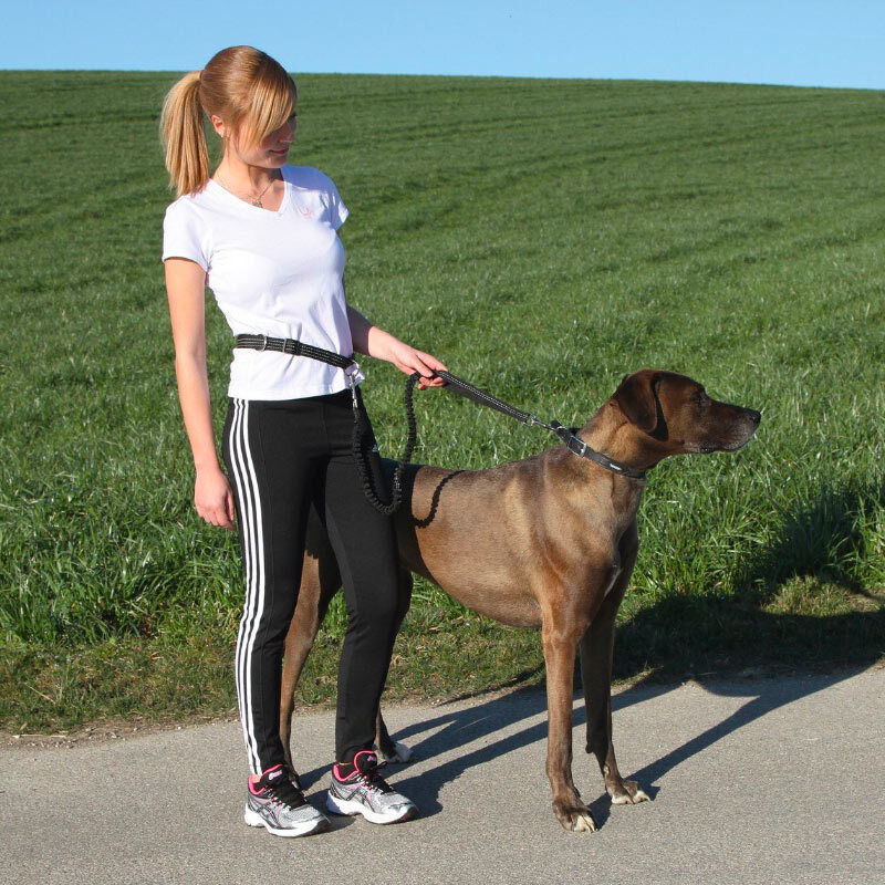  تصویر سبک زندگی دوم لید کمری مخصوص پیاده روی سگ کربل Kerbl Running Leash 