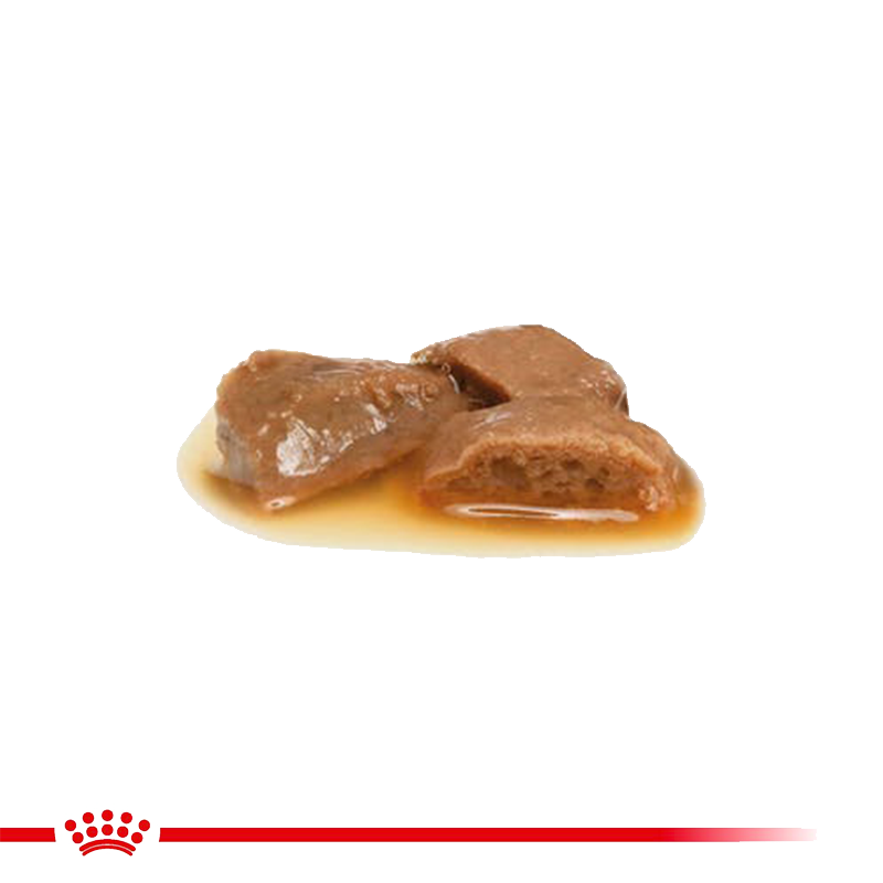  عکس محتویات پوچ گربه رویال کنین مدل Renal وزن ۸۵ گرم 