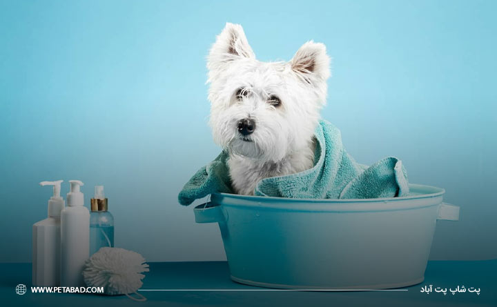 آموزش حمام کردن سگ