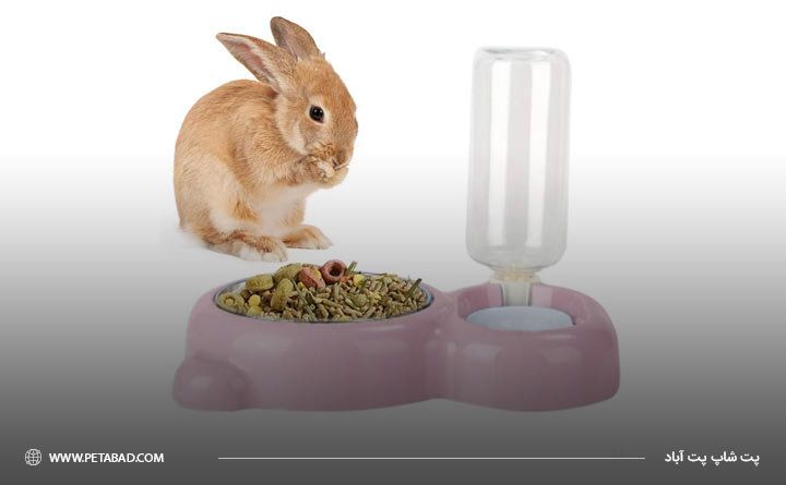 ظرف آب و غذا برای خرگوش