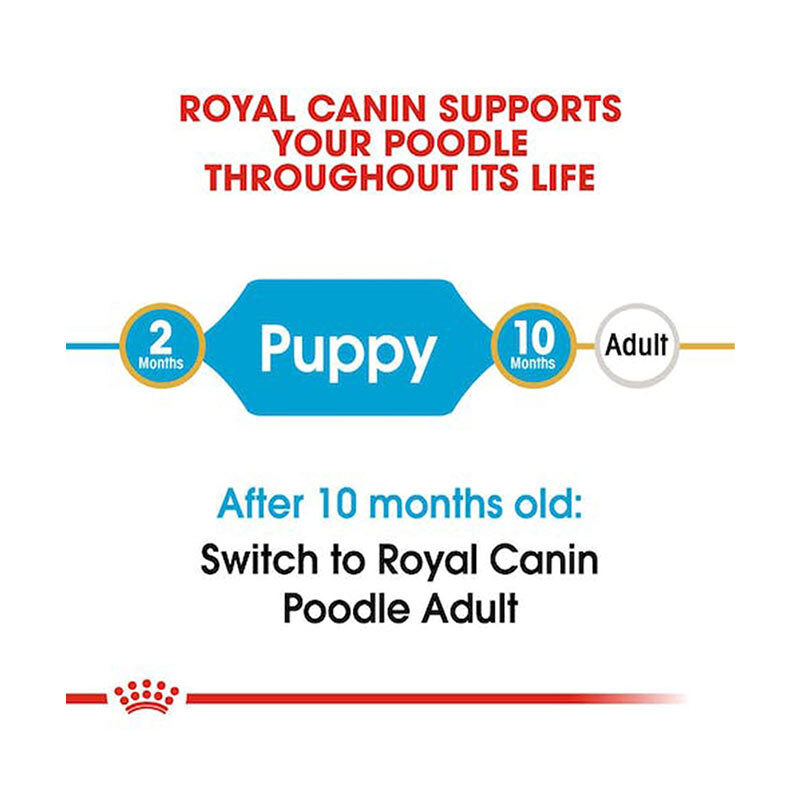  تصویر توضیحات غذای خشک توله سگ رویال کنین Royal Canin Puppy Poodle وزن 3 کیلوگرم از نمای رو به رو 