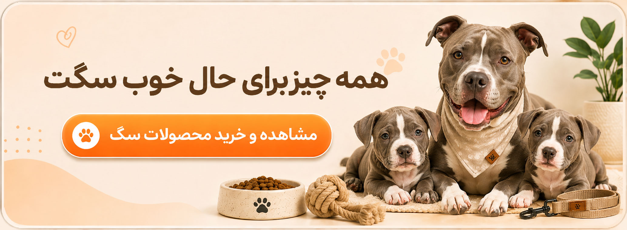 مشاهده و خرید محصولات سگ پت آباد
