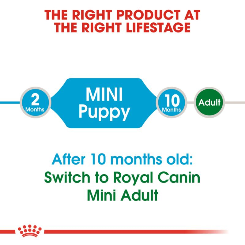  عکس راهنمای غذای خشک سگ رویال کنین مدل Mini Puppy وزن 2 کیلوگرم 