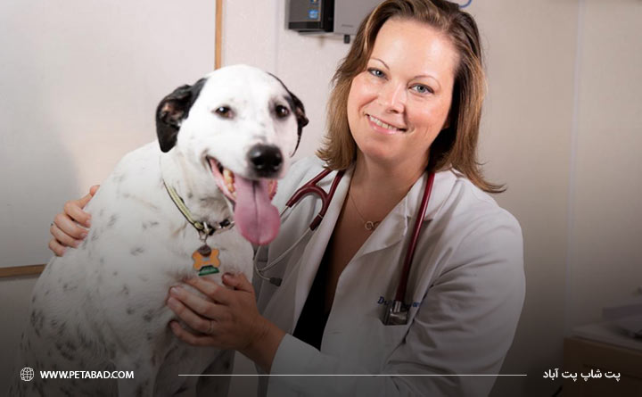 درمان حمله قلبی در سگ