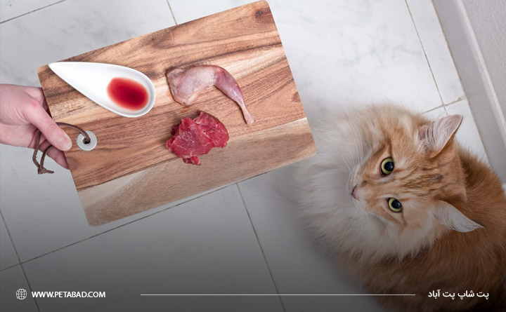 رعایت نکات رژیم غذایی خام گربه