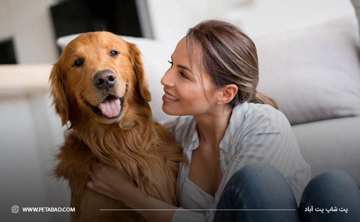 نگهداری از سگ نژاد گلدن