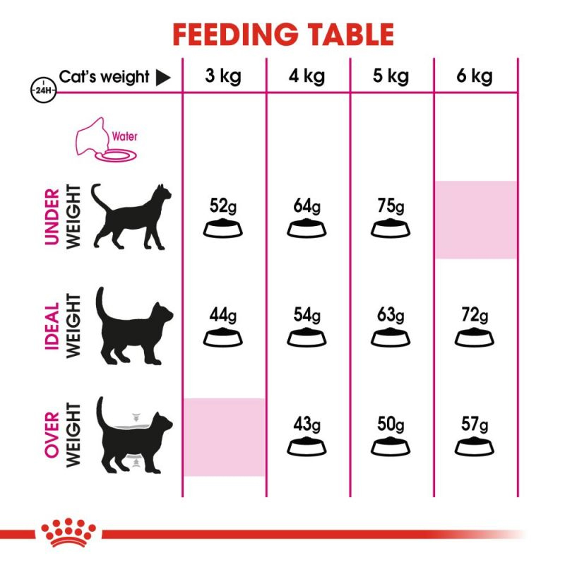  راهنمای تغذیه غذای خشک گربه رویال کنین مدل Aroma Exigent وزن 2 کیلوگرم 