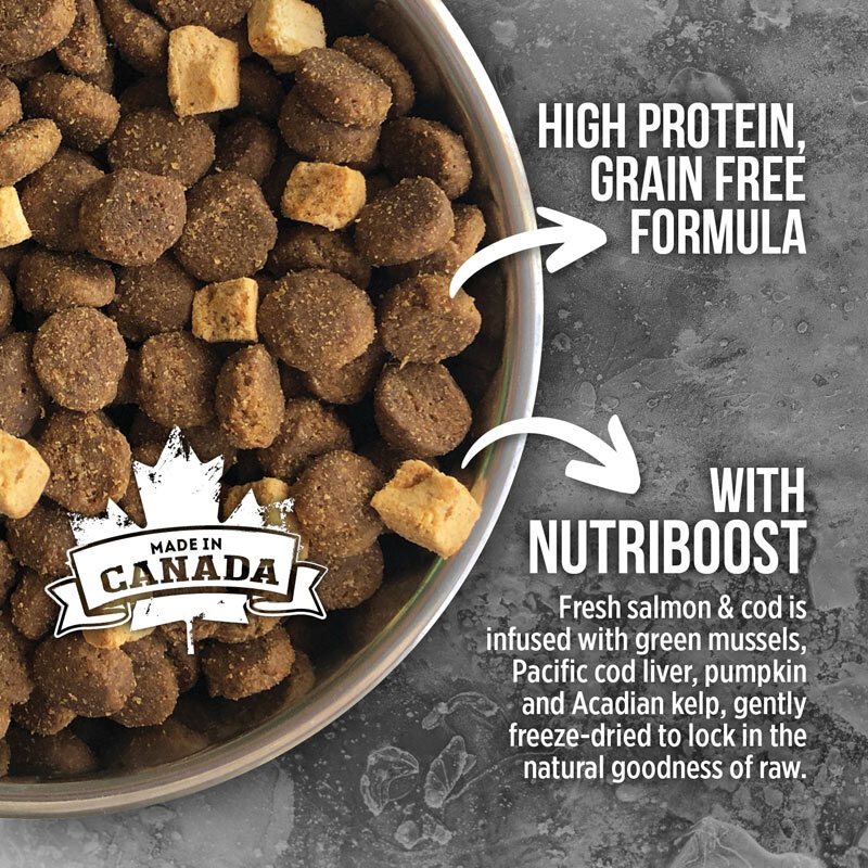 تصویر غذای خشک سگ نوترینس با طعم ماهی سالمون Nutrience Subzero Canadian Pacific وزن 2.27 کیلوگرم 