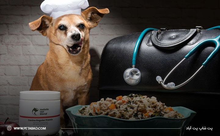 مشورت بادامپزشک برای خرید غذای درمانی سگ