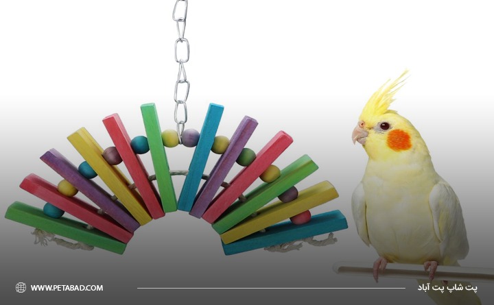 اسباب بازی مخصوص عروس هلندی