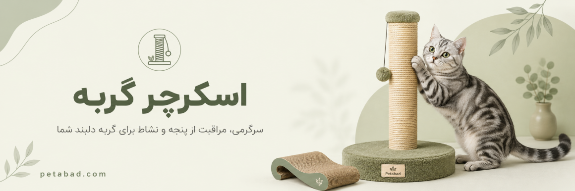 اسکرچر گربه | پت آباد | petabad