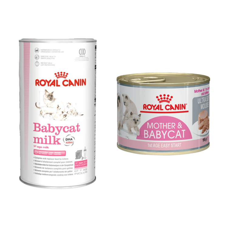 بسته کنسرو غذای گربه Mother & Baby و شیر خشک BabyCat رویال کنین مجموعه 4 عددی