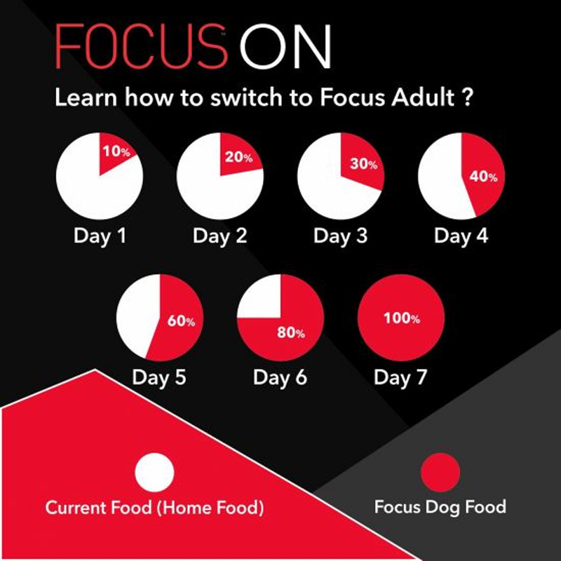  عکس راهنمای غذای خشک سگ درولز مدل Focus Adult وزن 12 کیلوگرم 