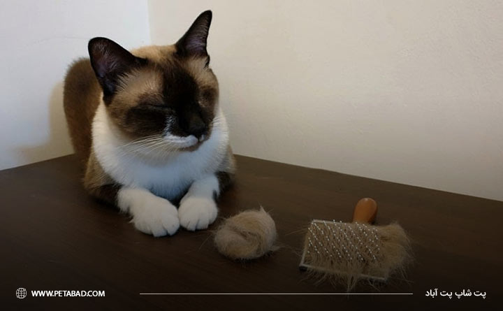 گلوله های مو گربه را فراموش نکنید