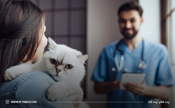 برنامه ریزی واکسن زدن گربه 