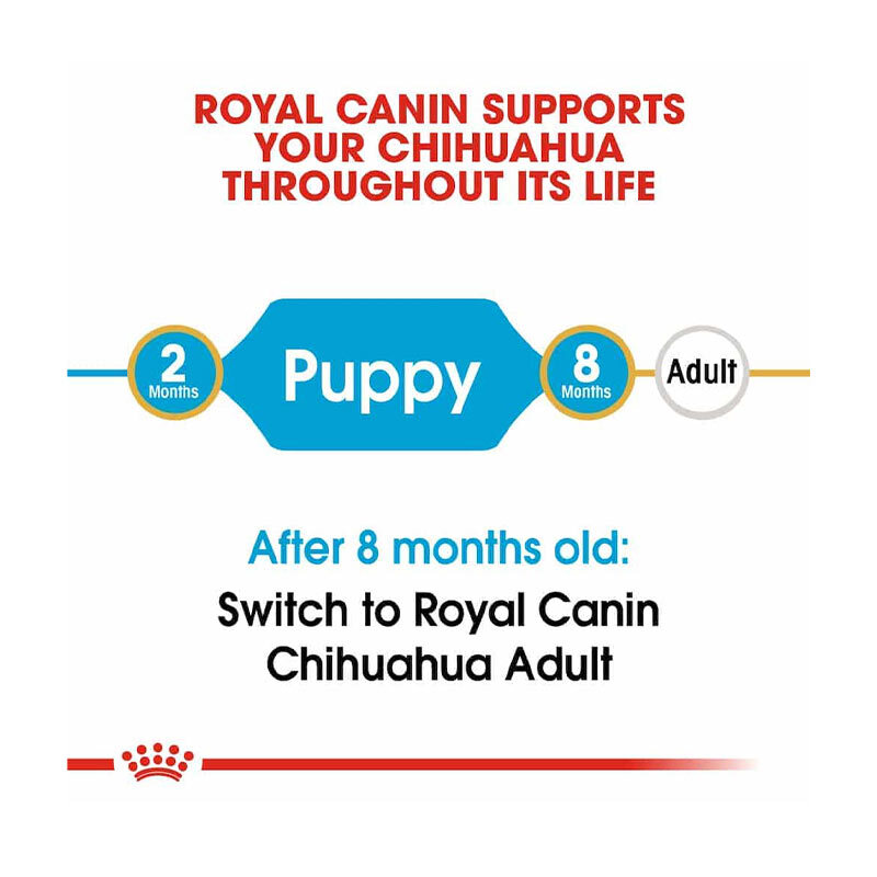  تصویر توضیحات غذای خشک توله سگ نژاد شیواوا رویال کنین Royal Canin Chihuahua Puppy وزن 1.5 کیلوگرم 