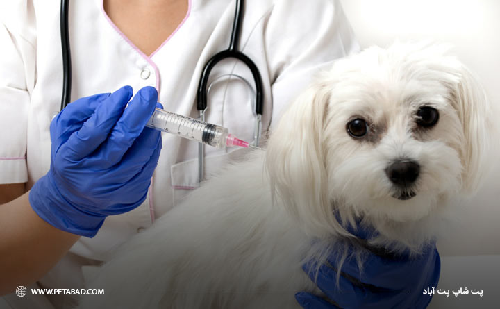 واکسیناسیون توله سگ ها