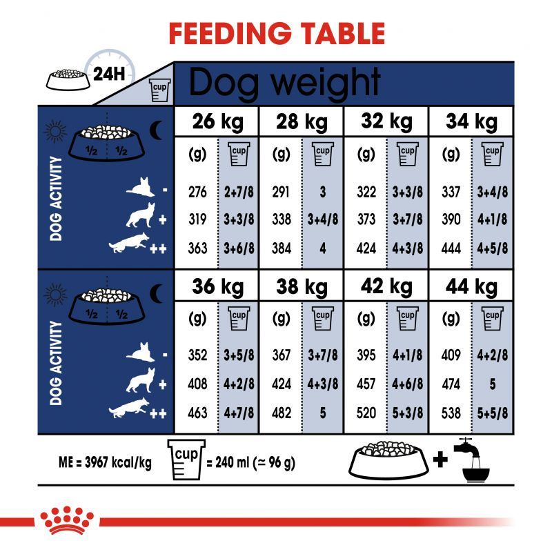  عکس راهنمای تغذیه غذای خشک سگ رویال کنین مدل Maxi Adult وزن 4 کیلوگرم 