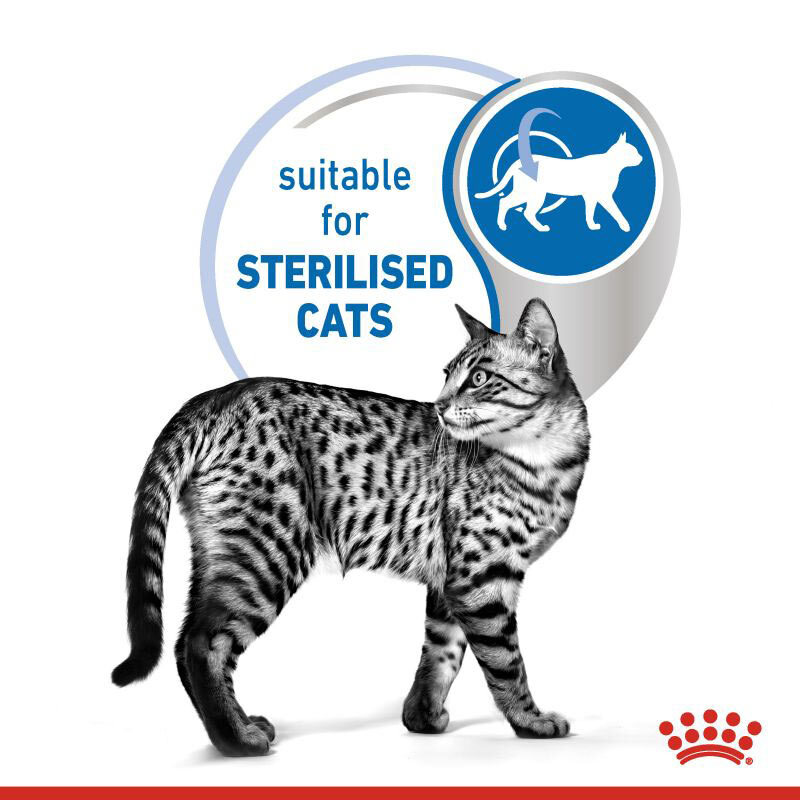  تصویر توضیحات پوچ گربه عقیم شده خانگی رویال کنین با طعم مرغ در ژله Royal Canin Indoor Sterilised وزن 85 گرم 