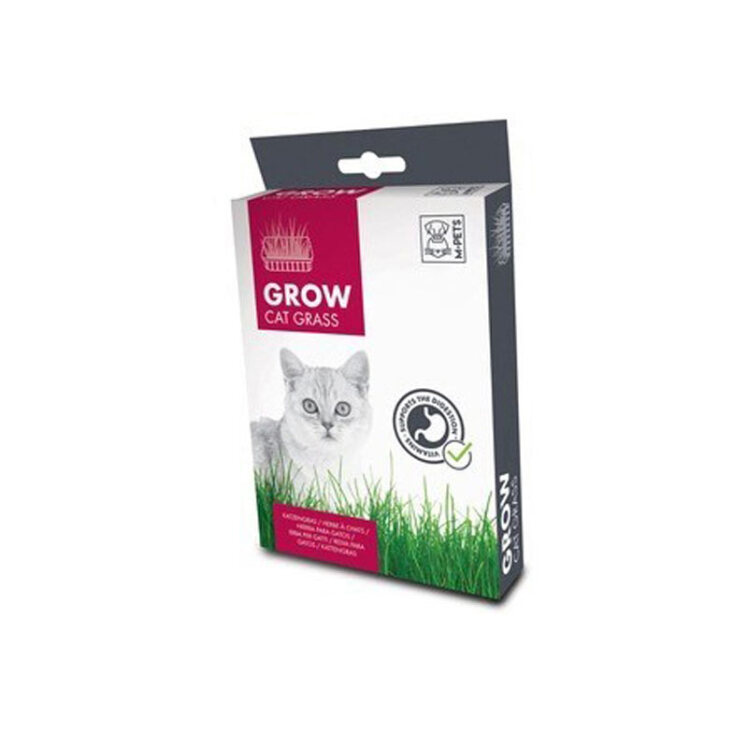 تصویر علف گربه ام پت M-Pets Grow Cat Grass وزن 70 گرم