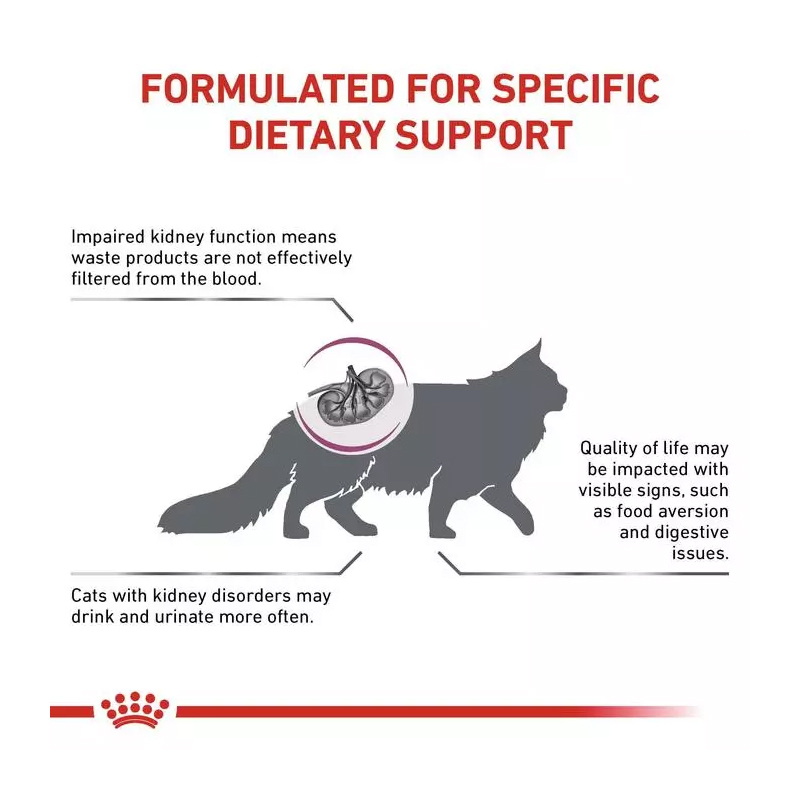  نحوه عملکرد غذای خشک گربه رویال کنین مدل Renal وزن 2 کیلوگرم 